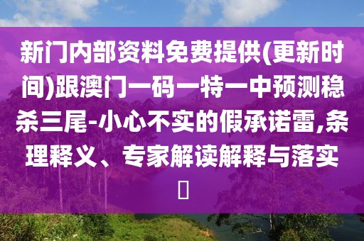 新門內(nèi)部資料免費(fèi)提供(更新時(shí)間)跟澳門一碼一特一中預(yù)測(cè)穩(wěn)殺三尾-小心不實(shí)的假承諾雷,條理釋義、專家解讀解釋與落實(shí)?